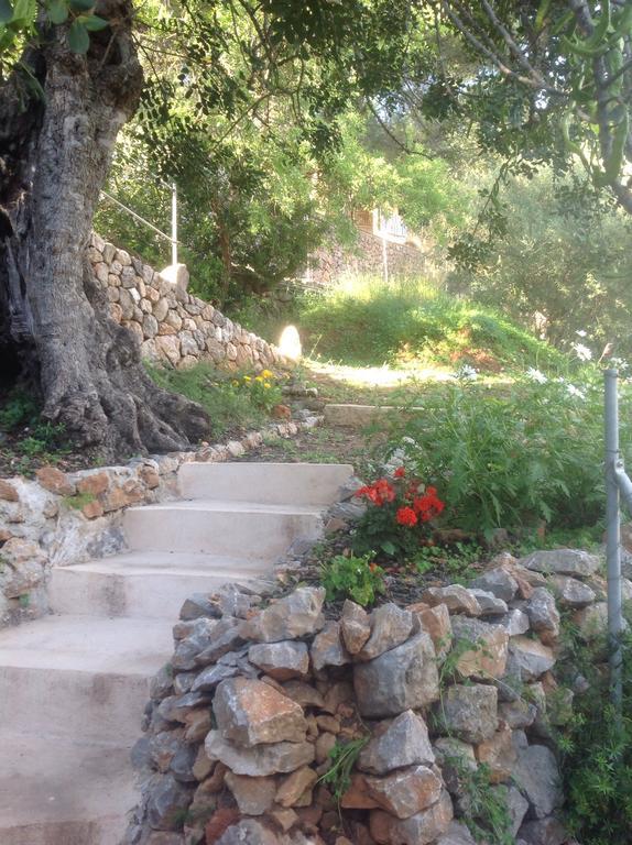 Hébergement de vacances Sa Roca Roja Sóller